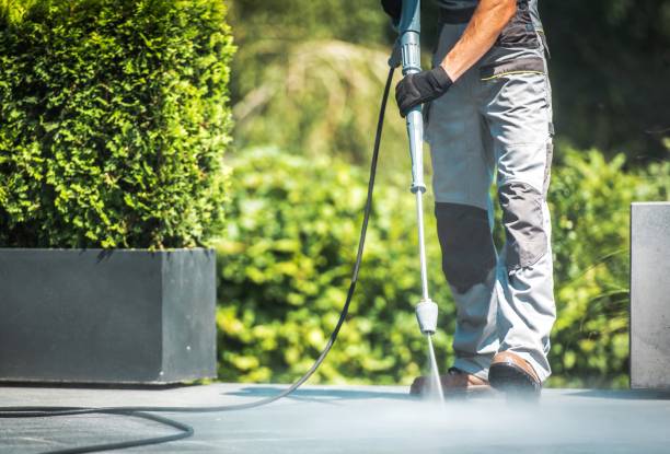 Best Animal Enclosure Cleaning  in Nocona, TX