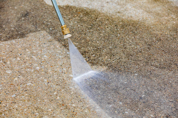 Best Roof Washing  in Nocona, TX