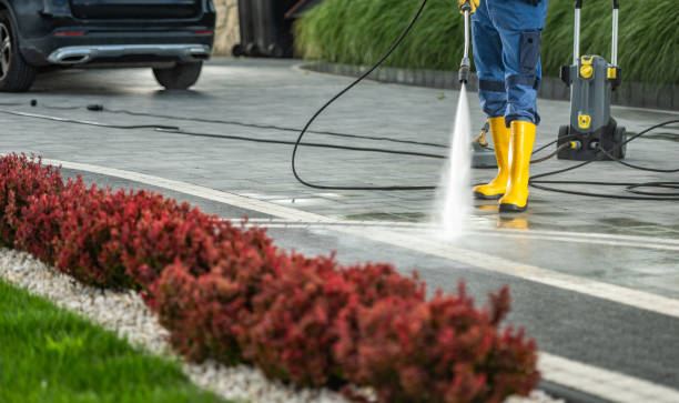 Best Solar Panel Cleaning  in Nocona, TX